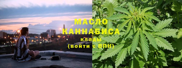 МДПВ Бородино